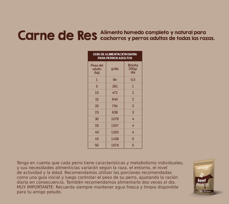 Carne de Res