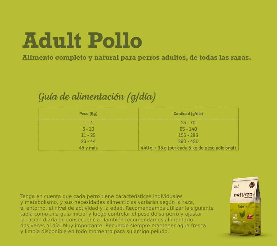 Adult - Pollo