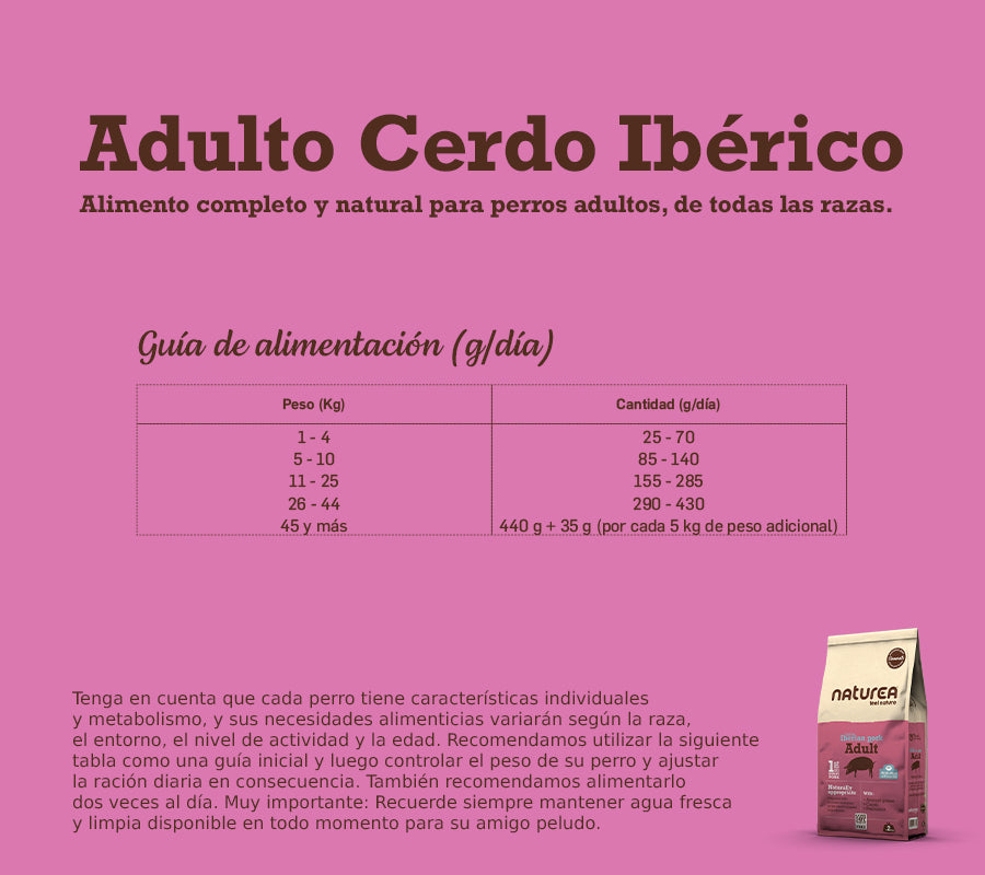 Adulto - Cerdo Ibérico
