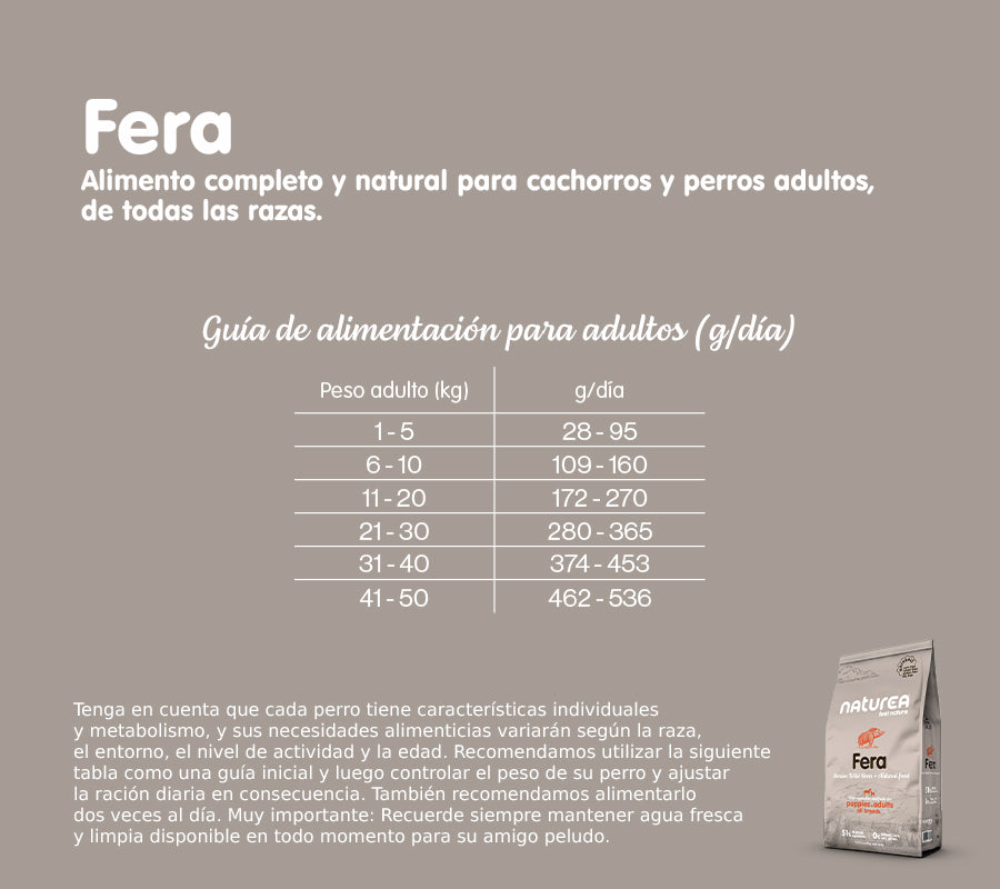 Fera - Jabalí ibérico