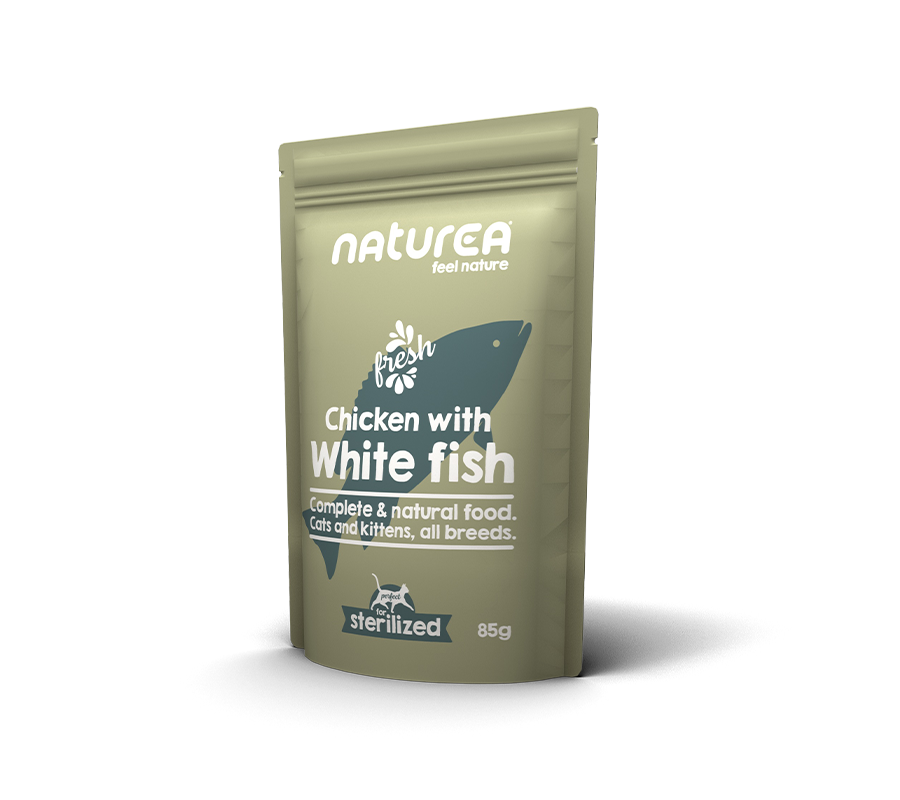 Pollo con Pescado Blanco