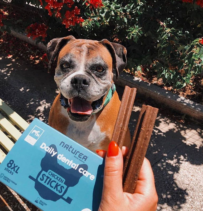 Barritas Dentales - Pollo (XL)