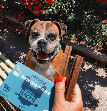 Barritas Dentales - Pollo (XL)