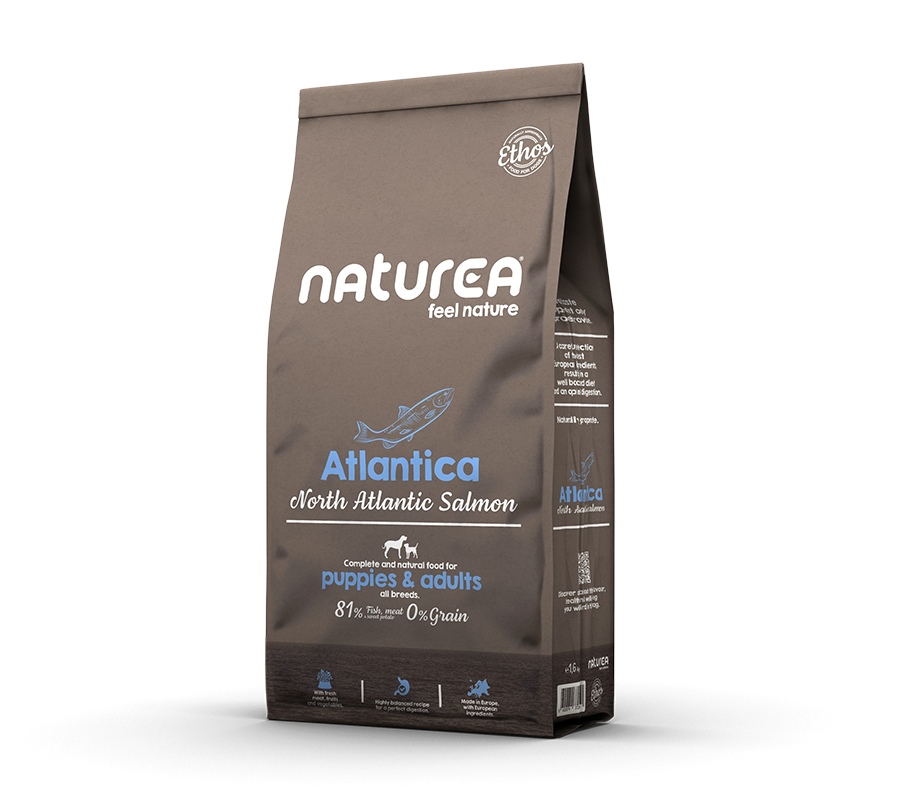 Atlantica Salmón del Atlántico Norte