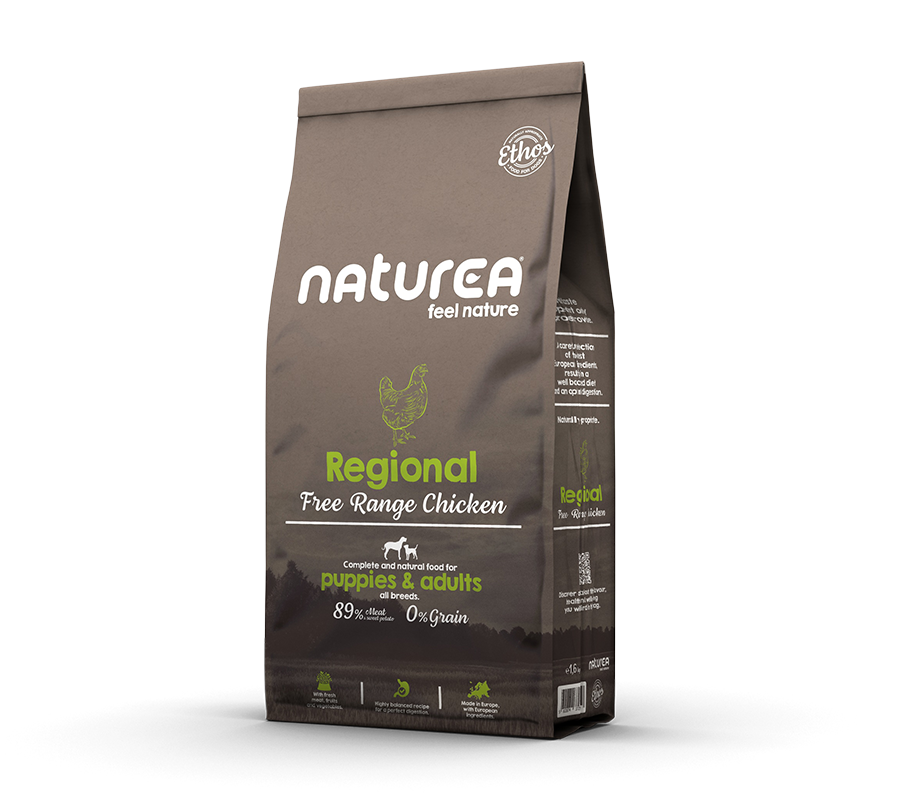 Regional Pollo de corral