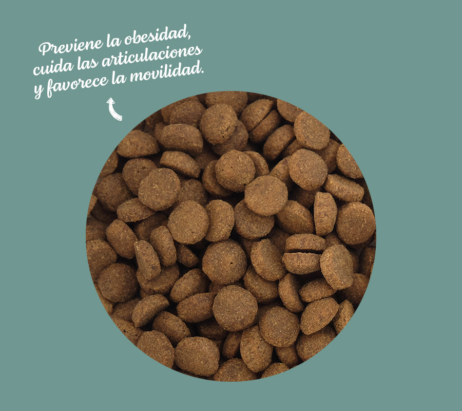 Regional Free Range Chicken Light & Senior