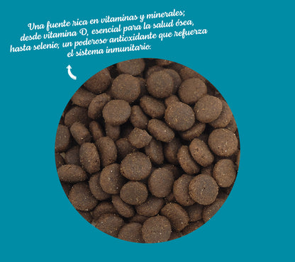 Acqua - Deep Ocean Tuna