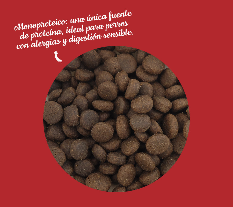 Agnus - Cordero de pastizales