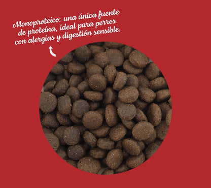 Agnus - Cordero de pastizales