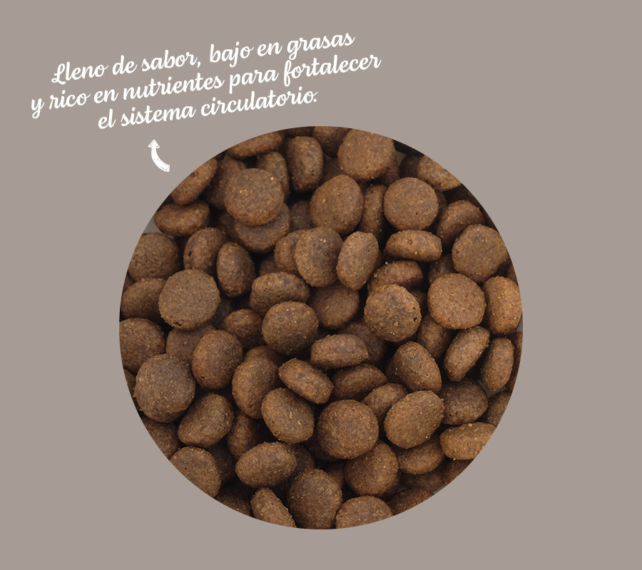 Fera - Jabalí ibérico