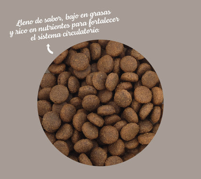 Fera - Jabalí ibérico