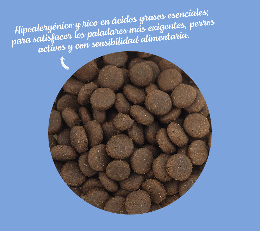 Mare - Salmón del Atlántico Norte