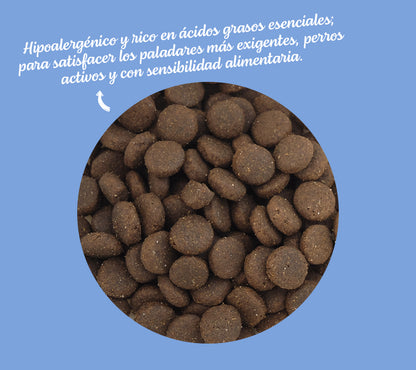 Mare - Salmón del Atlántico Norte