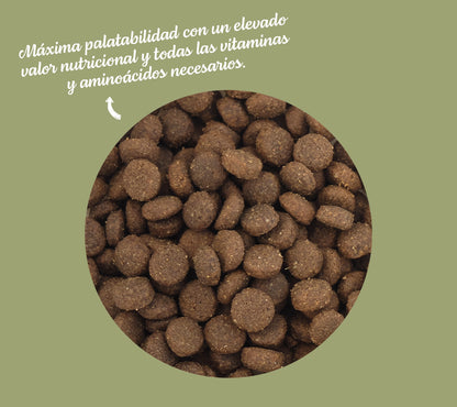 Terra - con Pollo de Corral