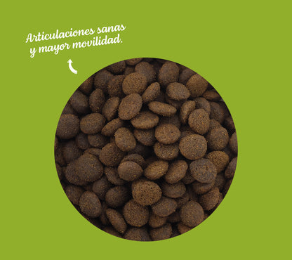 Regional Pollo de Corral