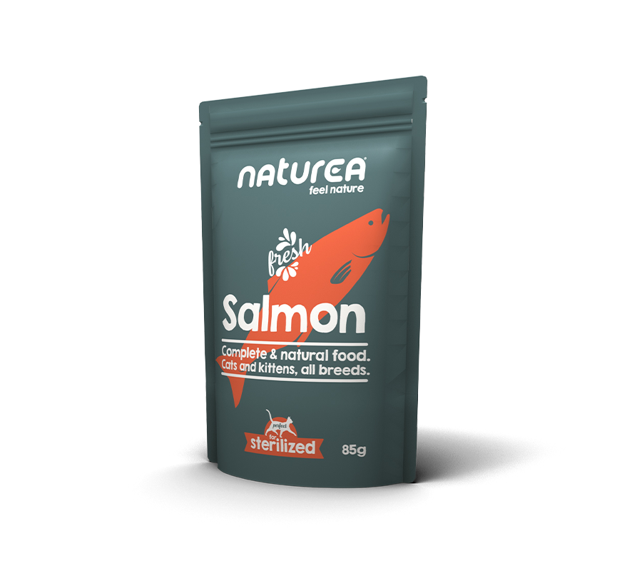 Salmón