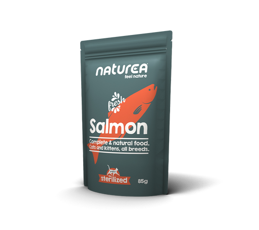 Salmón